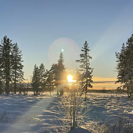 Elghornvegen 16 - Hrh Golsfjellet